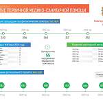 Инфографика: в 2019 году в Новгородской области появятся 16 ФАПов