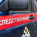 В Великом Новгороде в Новый год мужчина забил насмерть гантелей и битой 16-летнего подростка