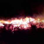 Страшный пожар в Окуловском районе унес жизни шести человек. Среди них есть дети