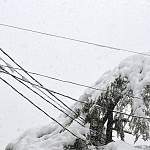 1500 жителей Новгородской области остались без электроэнергии из-за снегопада