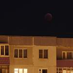 Новгородцы поделились в соцсетях снимками лунного затмения