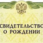 В России хотят ввести автоматическую регистрацию рождения и смерти – без кучи бумажек