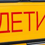 Стали известны подробности аварии со школьным автобусом в Маловишерском районе