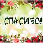 Новгородская семья Лисихиных благодарит за рождественское чудо