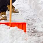 Новгородцы предлагают устроить суровый флешмоб по уборке города от снега 