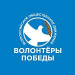 Молодые новгородские волонтеры могут стать «Послами Победы» 
