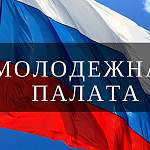Городская Дума приглашает новгородцев к участию в выборах в Молодежную палату
