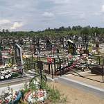 Места под захоронения на основном кладбище Великого Новгорода могут закончиться к октябрю