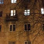 Жестокий хозяин из Боровичей выбросил щенка с балкона третьего этажа