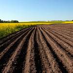 Новый закон позволит новгородским фермерам получить земли в безвозмездное пользование