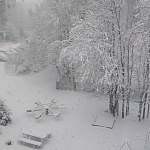 Шутки зимы: в Валдае за ночь выпало около десяти сантиметров снега