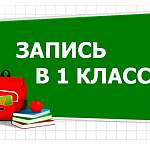 «Временную регистрацию не запретить» — есть ли выход в ситуации с записью в 1 класс в Великом Новгороде