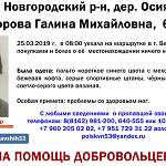 62-летняя женщина пропала по пути в Великий Новгород