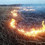Фотофакт: c двух сторон трассы М-10 в Новгородском районе горит трава