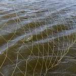 В этом году уже около 30 рыбаков в Новгородской области попались на браконьерстве