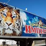 Международный цирк впервые на гастролях в Великом Новгороде 