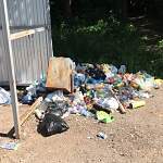 Фотофакт: мусорная проблема на автобусной остановке у Юрьева монастыря продолжается годами