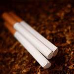 Представитель «Опоры России» сообщил минимальную цену легальной пачки сигарет