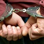 В Валдае полицейские задержали похитителей сельского моста