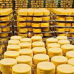 В Великом Новгороде нашли предприятие-фантом по производству сыров