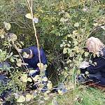 В Санкт-Петербурге пенсионерка «похоронила» 49-летнюю дочь в кустах