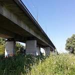 В этом году Колмовский мост не будут перекрывать во время ремонта