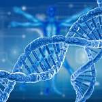 Фальшивые генетики обнаружили у пожилой новгородки проблемы с ДНК и повышенную доверчивость 