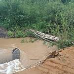 В Новгородской области из-за проливных дождей разрушены четыре участка дорог