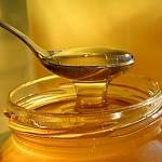 Стало известно, когда новгородцы попробуют первый мед свежего урожая