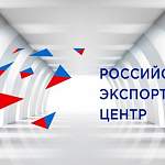 Гендиректор РЭЦ Андрей Слепнев рассказал о поддержке отечественного бизнеса и онлайн-торговле