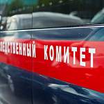 В Вологодской области арестовали мужчину по подозрению в убийстве двух сыновей