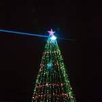 Названа дата зажжения новогодней ёлки в Великом Новгороде