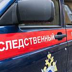 В Новгородской области женщина осуждена за покушение на убийство несовершеннолетней