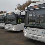 Как выглядят новые автобусы Великого Новгорода?