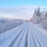 Фотофакт: в Ленинградскую область пришла зима, а в Великом Новгороде пошел первый снег