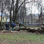 Мэр Великого Новгорода прокомментировал последствия разрушительного ночного урагана