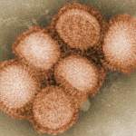 Специалисты оценили, насколько опасен грипп для новгородцев