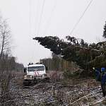 В Новгородской области без света остается порядка двух тысяч человек