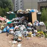 Что будет с мусором в Новгородской области?