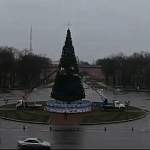 Таймлапс: как в Великом Новгороде монтировали новогоднюю ёлку