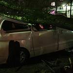 На автомобиль новгородского предпринимателя упало дерево