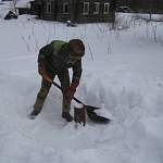 Росгеология предотвратила в Новгородской области ущерб для окружающей среды