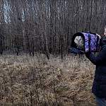 Видео: новгородцы выпустили длиннохвостую неясыть в естественную среду обитания