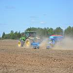 В Новгородской области более чем в два раза вырос урожай зерна