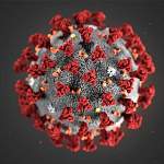 ВОЗ назвала распространение нового коронавируса пандемией