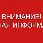 «Мои билеты» призывают сдать билеты на новгородский концерт Димы Билана. Или вам выдадут маску и измерят температуру