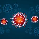 Эксперт минздрава прогнозирует снижение активности коронавируса