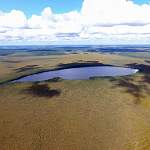 Архивы раскрывают тайны: научное освоение новгородских болот