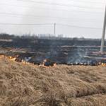 Пожарные больше трёх часов тушили пал травы в окрестностях Великого Новгорода