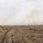 Самая тревожная обстановка с травяными пожарами отмечена в Боровичском и Чудовском районах